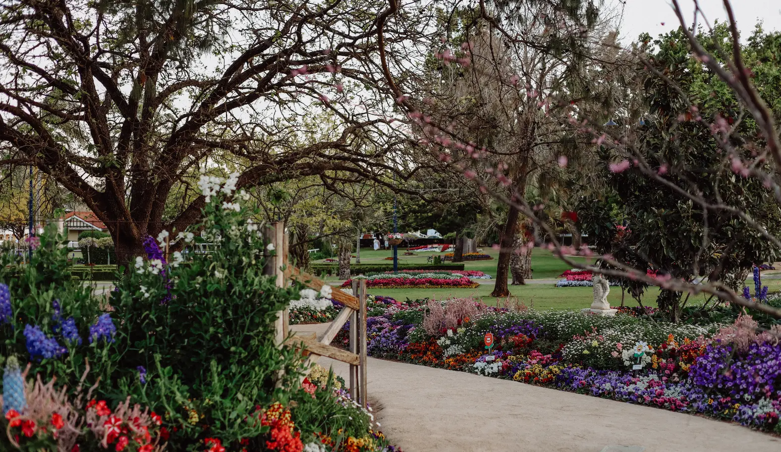 A serene garden scene featuring a path lined with colorful flowers, including red, purple, and white blooms. Mature trees with budding leaves and branches arch over the walkway. In the distance, people can be seen enjoying the scenic green space.