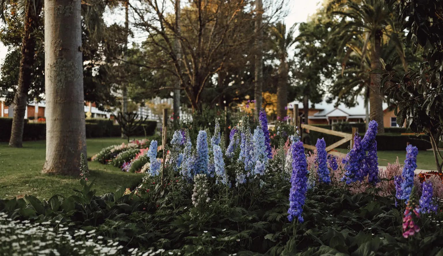 A garden with vibrant purple and blue delphiniums in the foreground, surrounded by lush green foliage. A path cuts through the garden, and in the background, trees and bushes fill the landscape. The scene is serene and well-maintained.