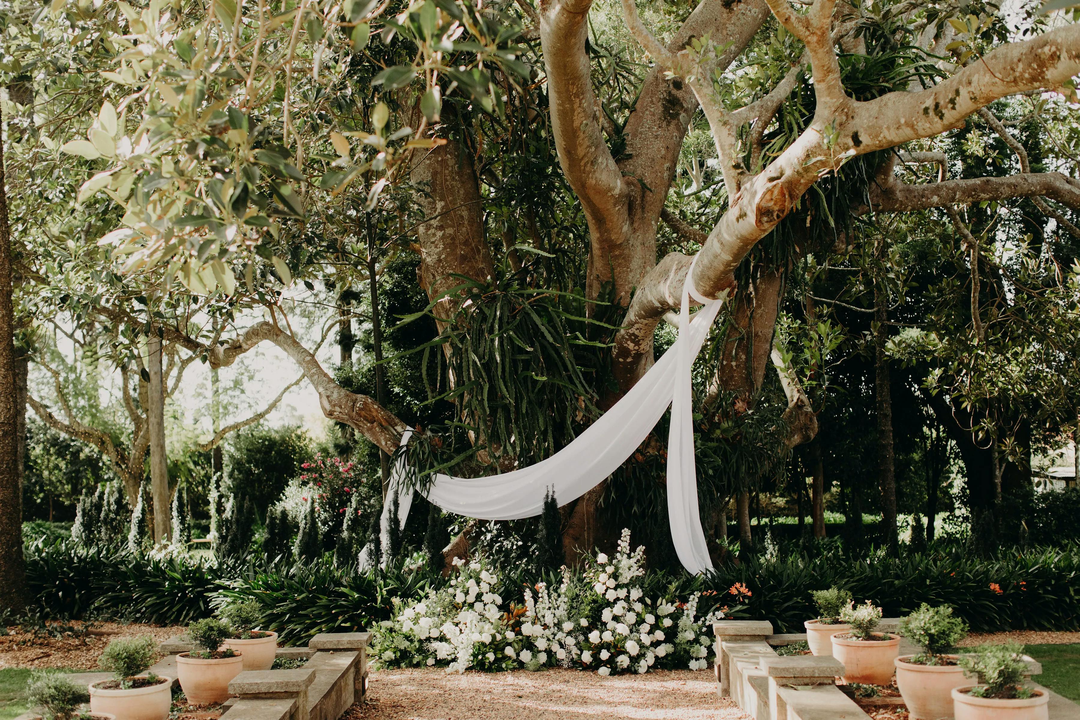 Wedding ceremony with flowers and large fig tree