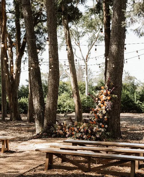trees in the woods surrounding gabbinbar decorated with lights and flowers ready for an outdoor wedding