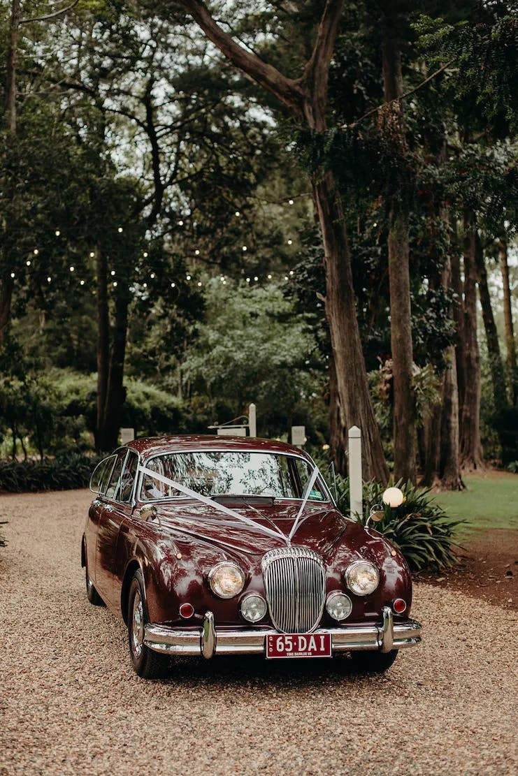 A vintage maroon car decorated with white ribbons is parked on a gravel path surrounded by tall trees and greenery. The car has a classic design with a chrome grille and round headlights, creating a timeless and elegant setting.