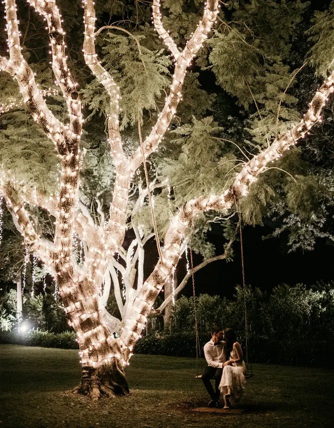 Gabbinbar gardens at Night