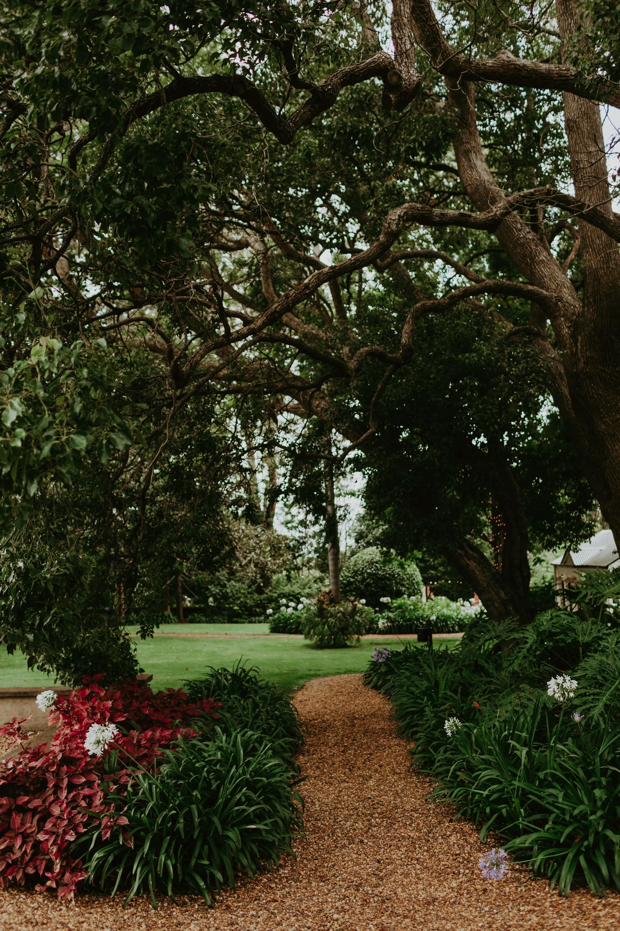 A gravel pathway winds through a lush garden with vibrant red and green foliage on either side, leading to a tranquil, shaded area beneath tall, sprawling trees. The scene is serene, with an inviting natural arch formed by the tree branches overhead.
