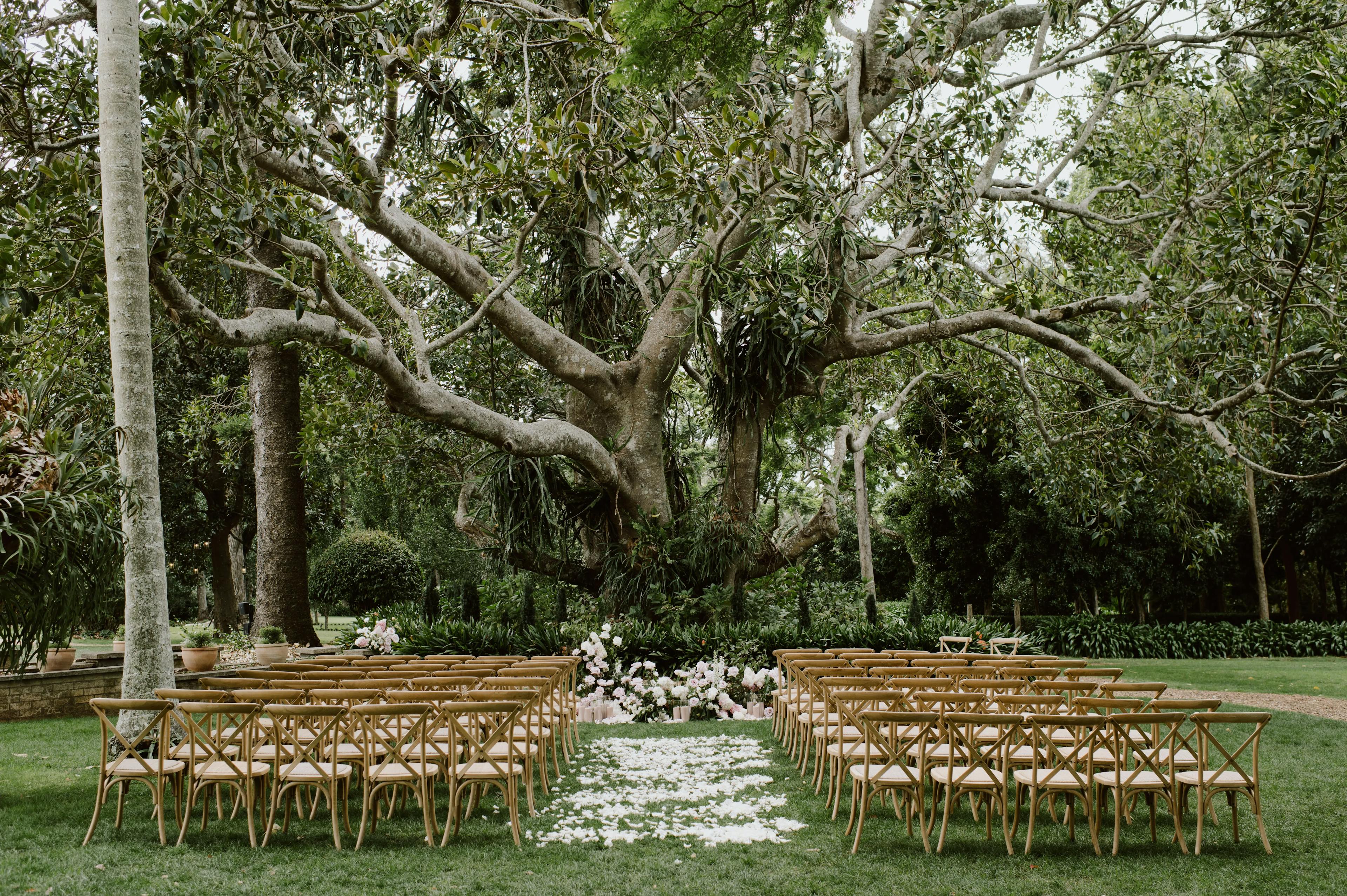 Wedding cereminy under fig tree
