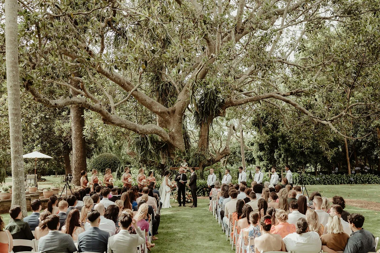 Outdoor wedding ceremony under a large tree, with the couple standing in front of the officiant. Guests are seated in rows of white chairs, and the bridal party is to the sides, wearing coordinating attire. The setting is lush with greenery and natural light.