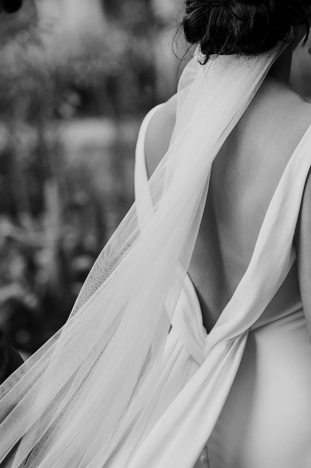 Black and white photo of a bride, seen from the back, wearing a low-back wedding dress with a long, flowing veil draped over her shoulder. The scene is set outdoors with blurred foliage in the background.
