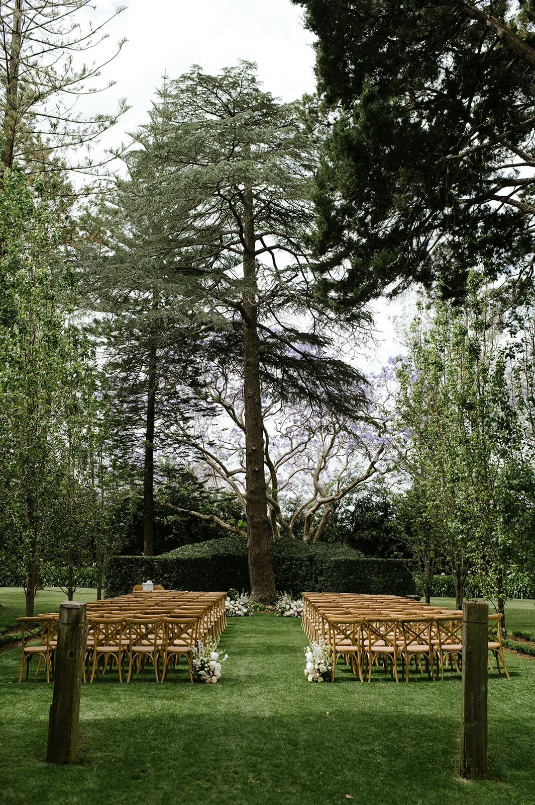 An outdoor wedding setup with wooden chairs arranged in neat rows on a grassy lawn, facing a tall, majestic tree in the center. The area is surrounded by lush greenery, including trees and bushes, creating a serene and natural ambiance. Flower arrangements line the aisle.