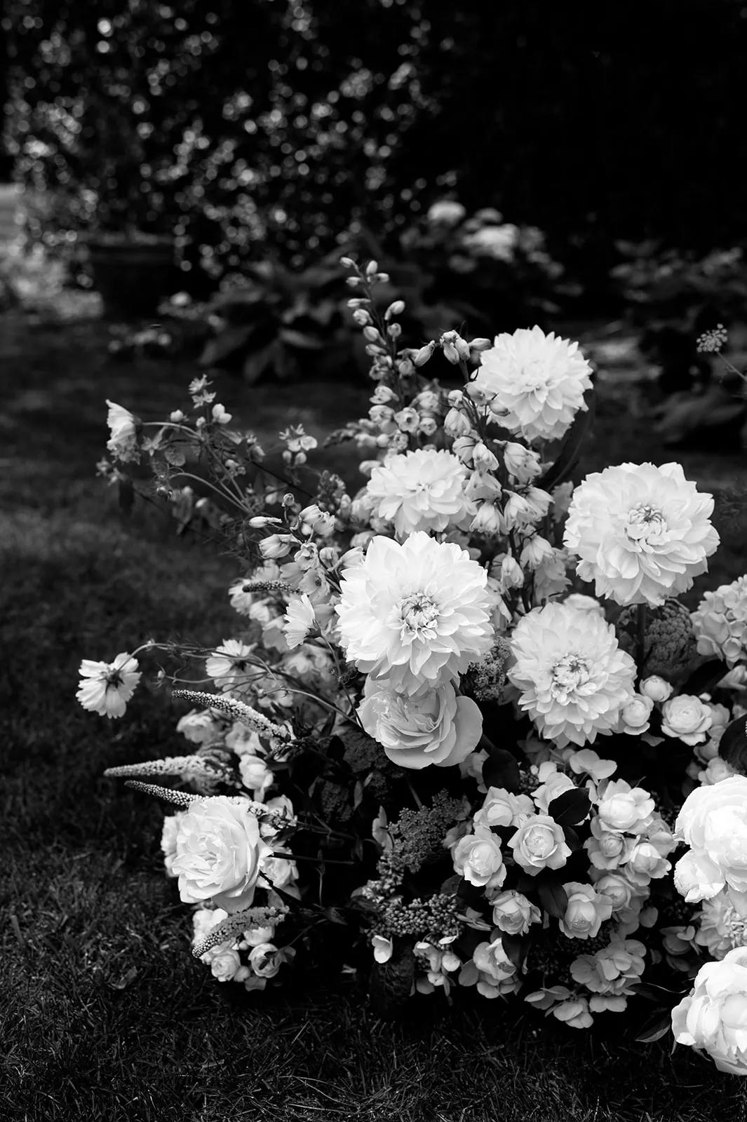 A black and white photograph showing an arrangement of various flowers, including large white dahlias and roses, placed on a patch of grass. The blurred background showcases additional foliage, adding depth to the floral display.