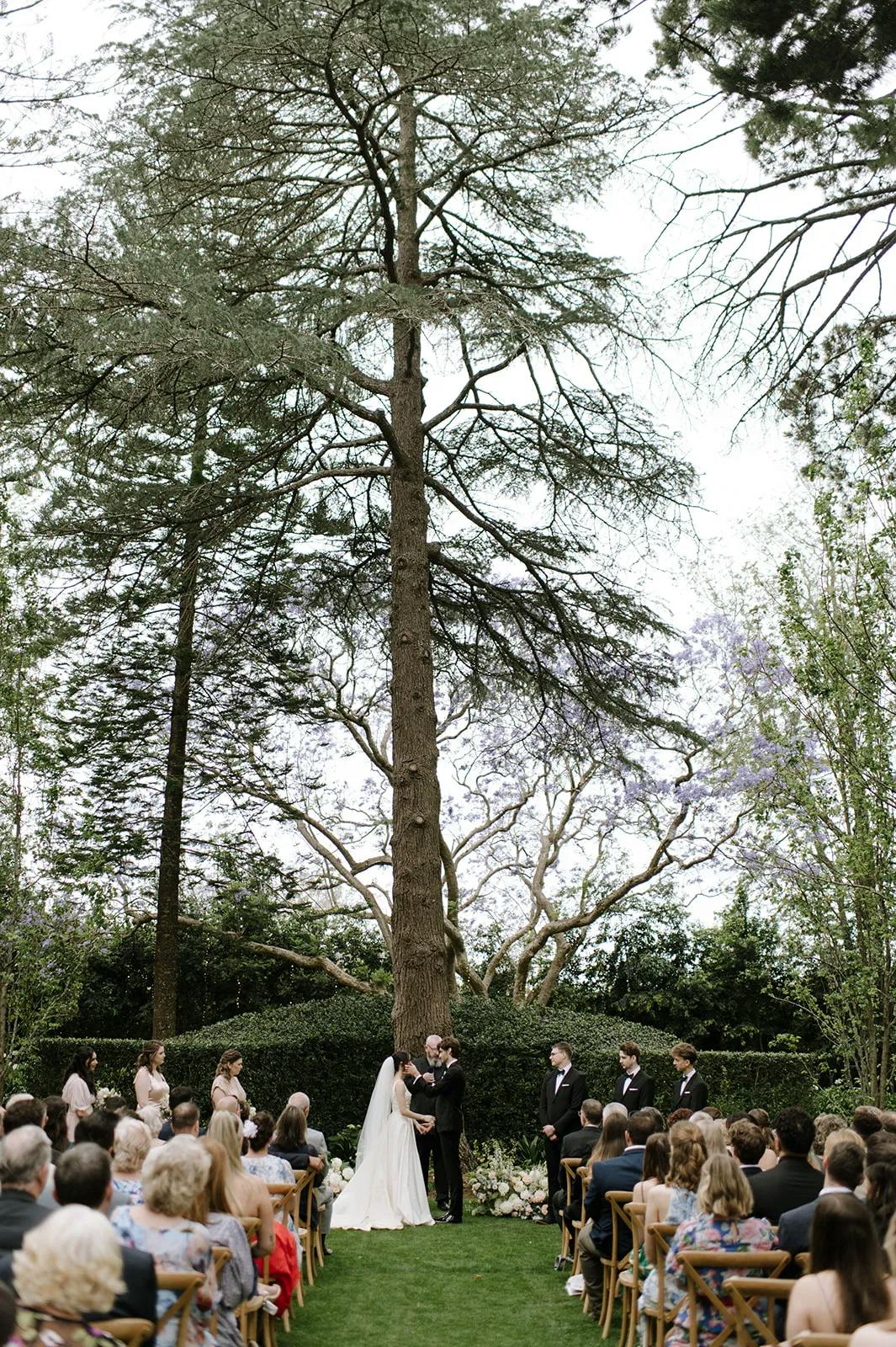 A couple stands before a large tree, exchanging vows in an outdoor wedding ceremony. Guests are seated on wooden chairs arranged in rows on either side of a grassy aisle, witnessing the moment. Bridesmaids and groomsmen stand by their sides. Trees and greenery surround the scene.
