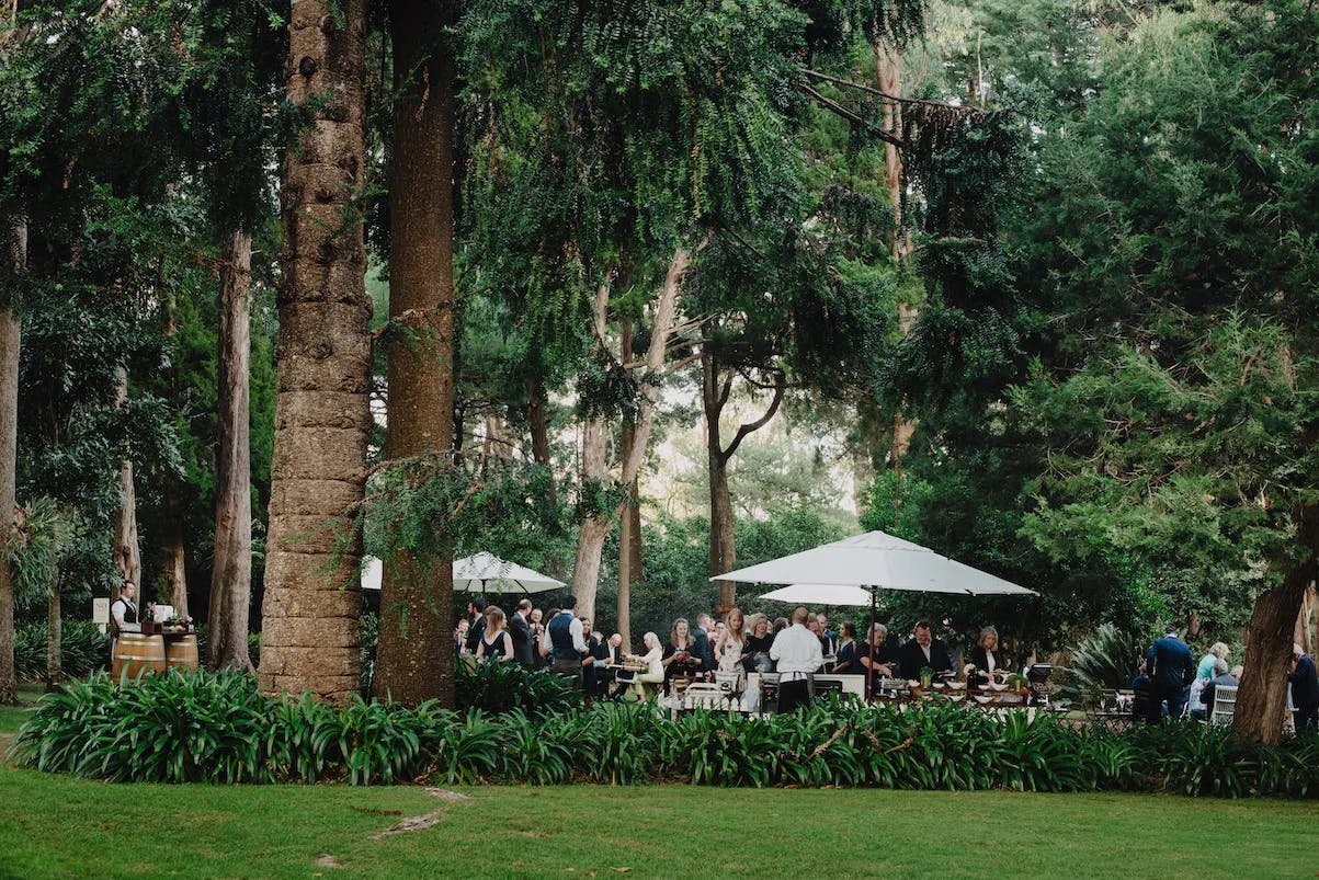 A group of people wearing formal attire gather outdoors in a lush, wooded area. They are standing and sitting under white umbrellas and appear to be attending a social event. The scene is serene, with tall trees and green foliage surrounding the gathering.