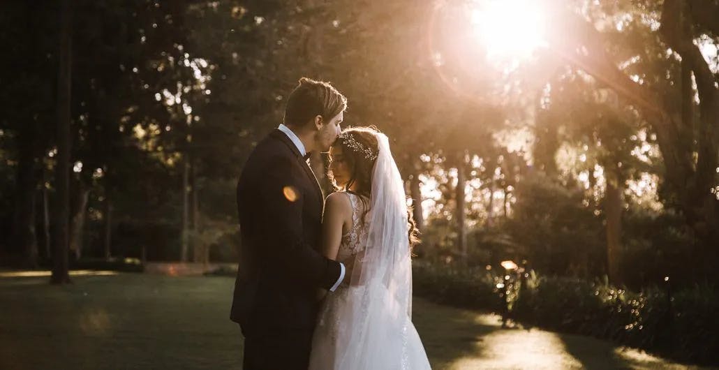 A bride and groom stand closely, embracing in a beautiful, sunlit forest. The groom wears a dark suit, and the bride is in a white wedding dress with a veil and floral headpiece. Sunlight filters through the trees, creating a romantic, golden glow.