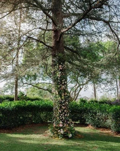 A tall tree in a garden has its trunk adorned with an arrangement of blooming flowers, adding vibrant colors to the natural setting. Bushes and other trees surround the area, with sunlight filtering through the leaves.
