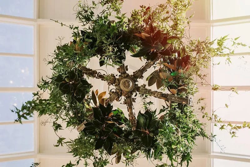 A decorative chandelier is viewed from below, adorned with lush green foliage and leaves. The chandelier hangs from a white ceiling with grid-like square panels. Light filters softly through the ceiling panels, illuminating the greenery.
