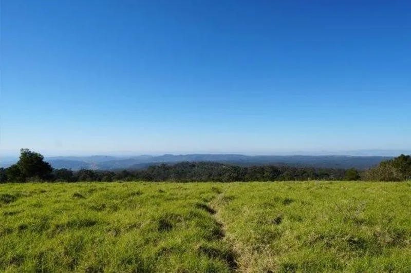 A vast landscape showing a green grassy field with a dirt path leading into the distance. The field is bordered by thick forests, and beyond that, hazy blue mountains can be seen under a clear blue sky.