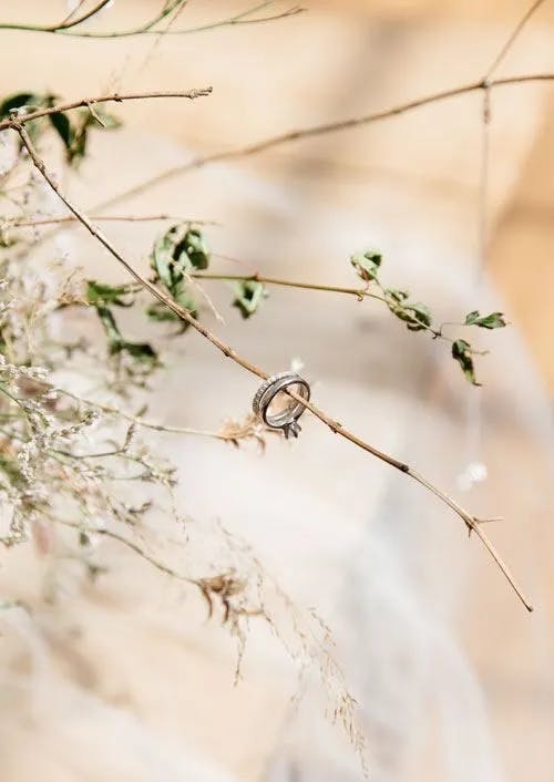 A close-up of two silver wedding rings hanging from a thin branch of a dried plant. The background is softly blurred to emphasize the rings, with subtle hints of greenery and delicate textures creating a rustic, intimate atmosphere.
