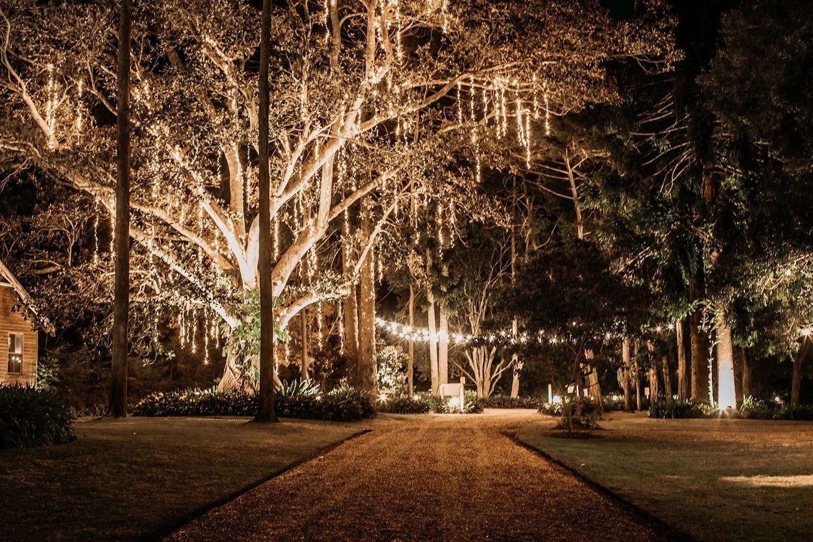 A nighttime scene of a beautifully lit park pathway with hanging fairy lights illuminating a large tree and the surrounding foliage. The lights create a warm, magical ambiance in the serene environment.