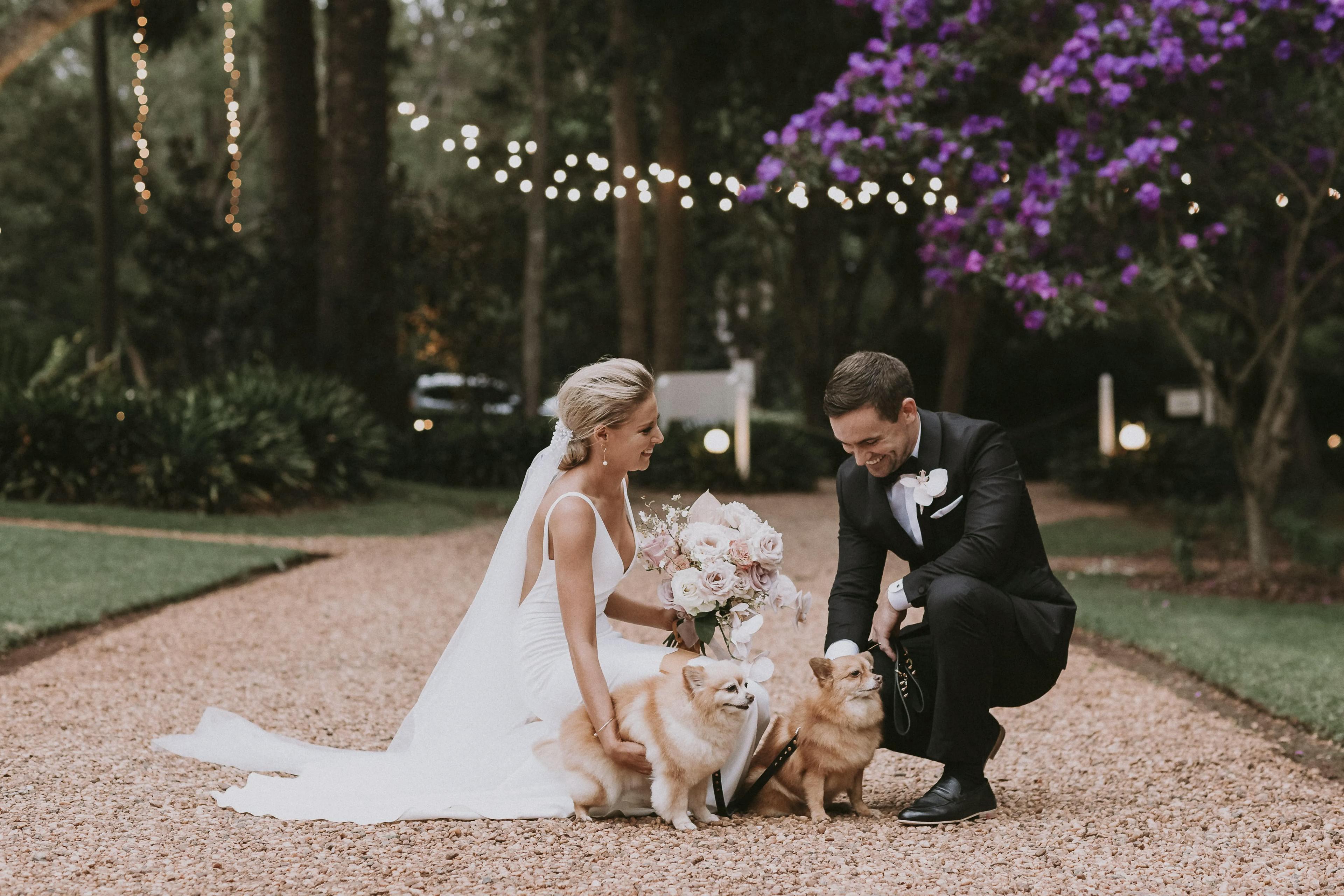 A bride in a white gown with a veil and a groom in a black tuxedo pose with two small dogs on a gravel path lined with trees and fairy lights. The bride holds a bouquet of pink flowers, and both are smiling at the dogs. A purple flowering tree is in the background.