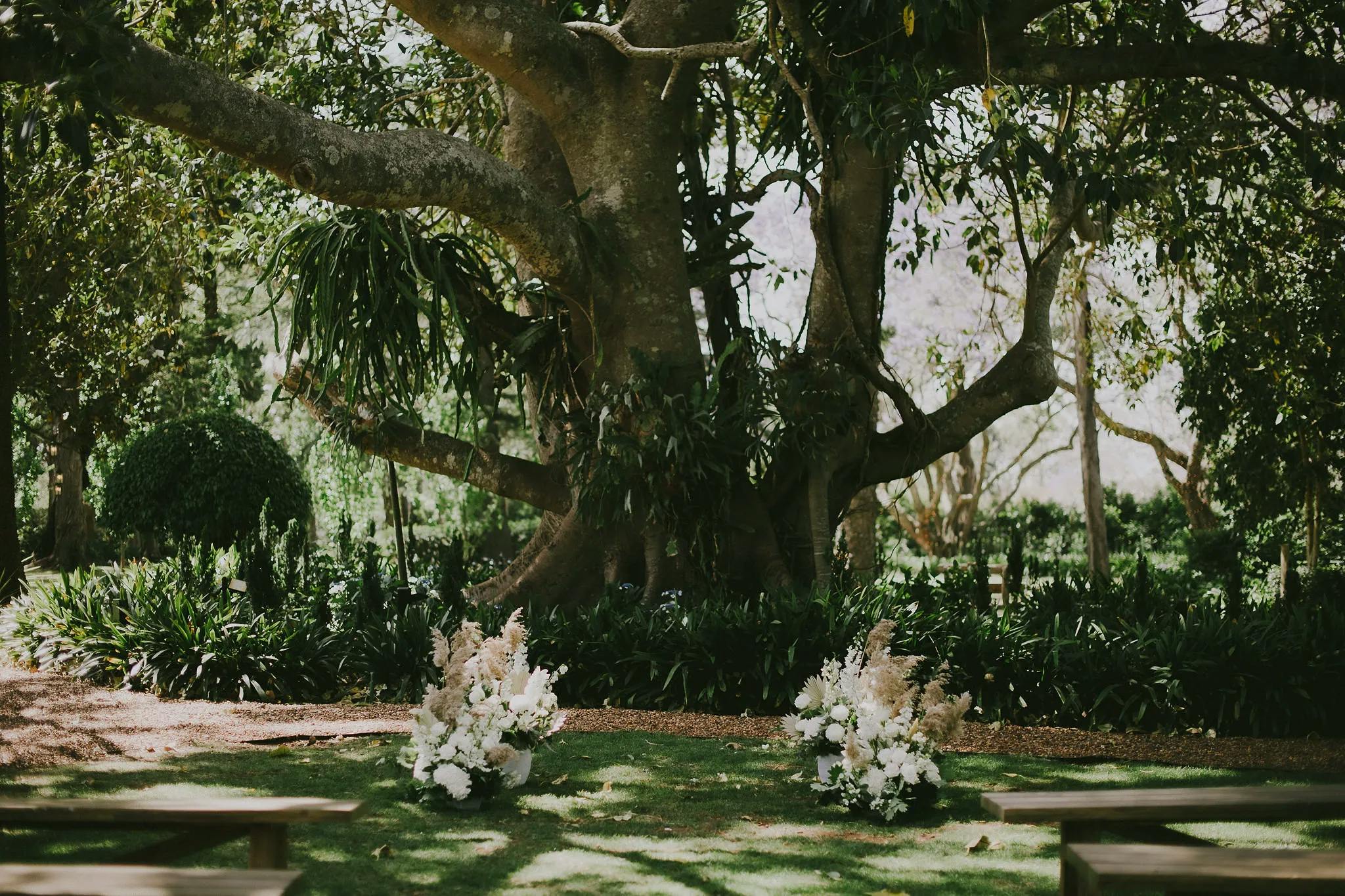 A beautiful outdoor setup for an event, with two floral arrangements featuring white and pink flowers placed under a large, sprawling tree. Wooden benches line the sides, and lush green foliage surrounds the area, creating a serene atmosphere.