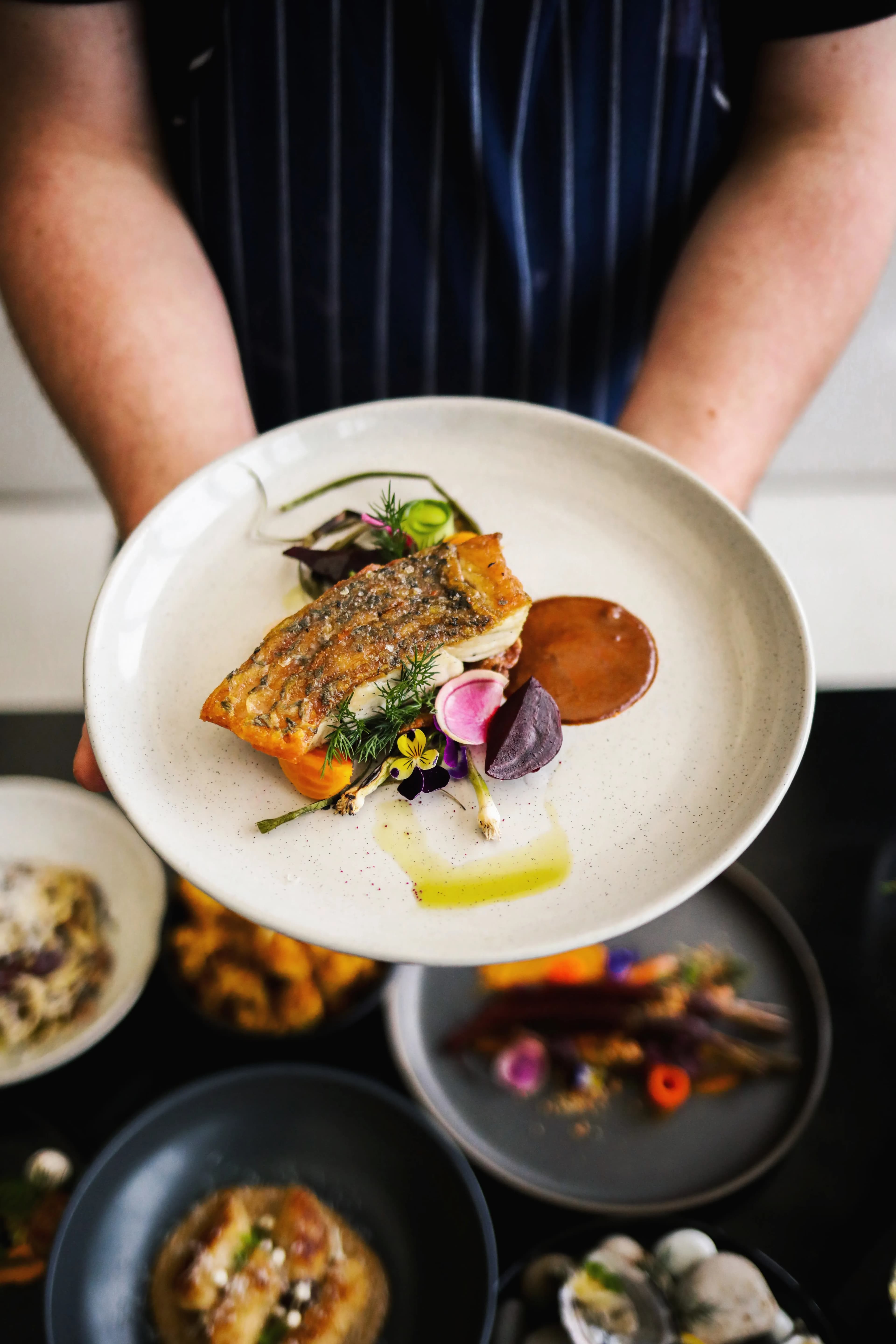 A person holding a white plate with a beautifully presented piece of fish, garnished with herbs, flower petals, and vegetables. Several other gourmet dishes are visible on the table below. The person is wearing a dark apron with white stripes.