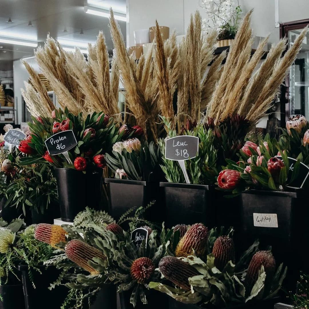 A variety of flowers and plants are displayed in black plastic containers at a flower shop. Pampas grass, protea, leuc, and other assorted flowers are visible, each labeled with a small blackboard sign and pricing information.