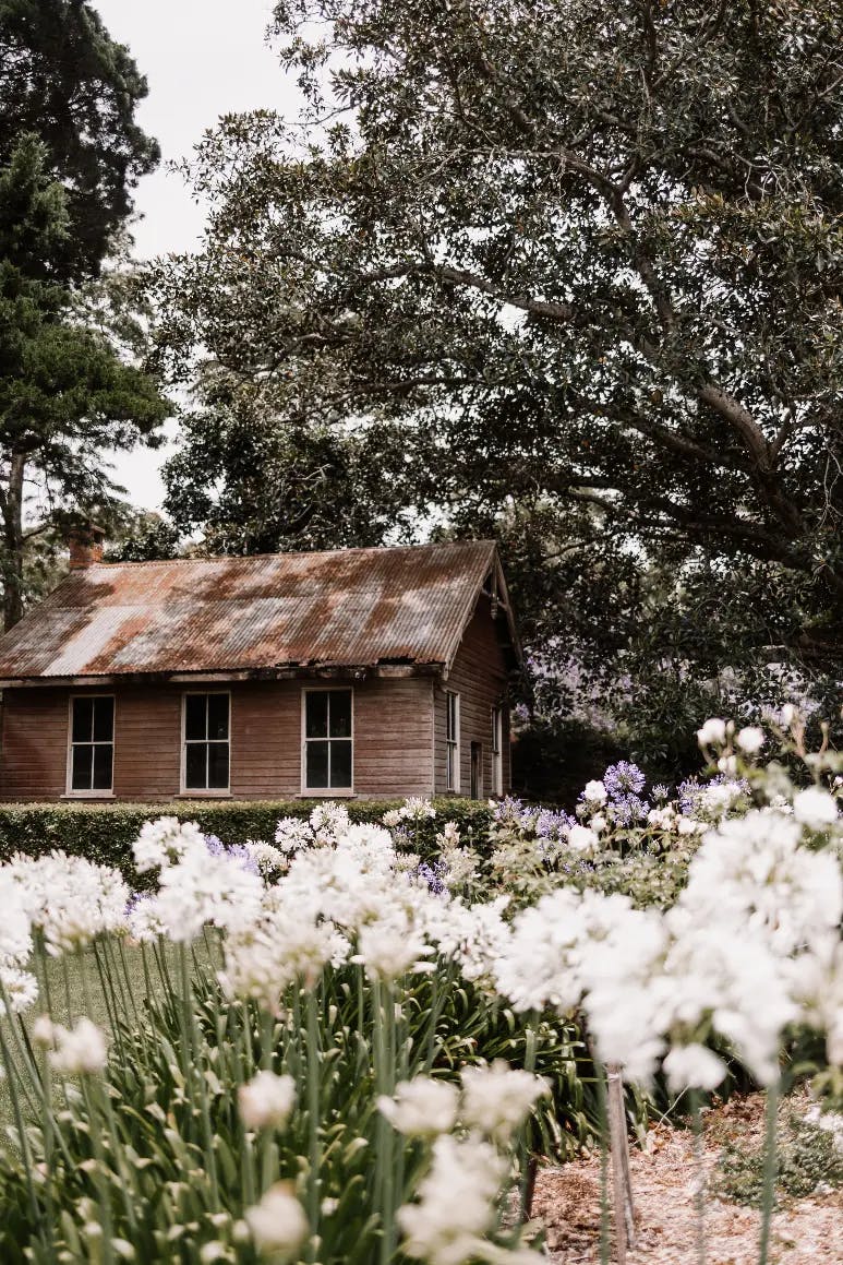 A rustic wooden house with a corrugated metal roof sits in a lush garden. Blooming white and purple flowers dominate the foreground, and large trees with sprawling branches provide shade in the background. The scene exudes a peaceful, countryside charm.