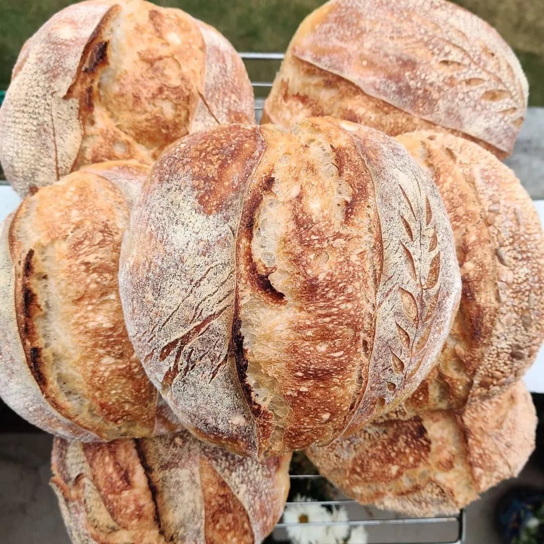 A close-up photo shows six rustic loaves of sourdough bread with golden-brown crusts. The bread has artistic scoring on the surface, showcasing intricate patterns and deep splits, indicating a well-baked and crunchy exterior. The background appears to be a light-colored table or countertop.