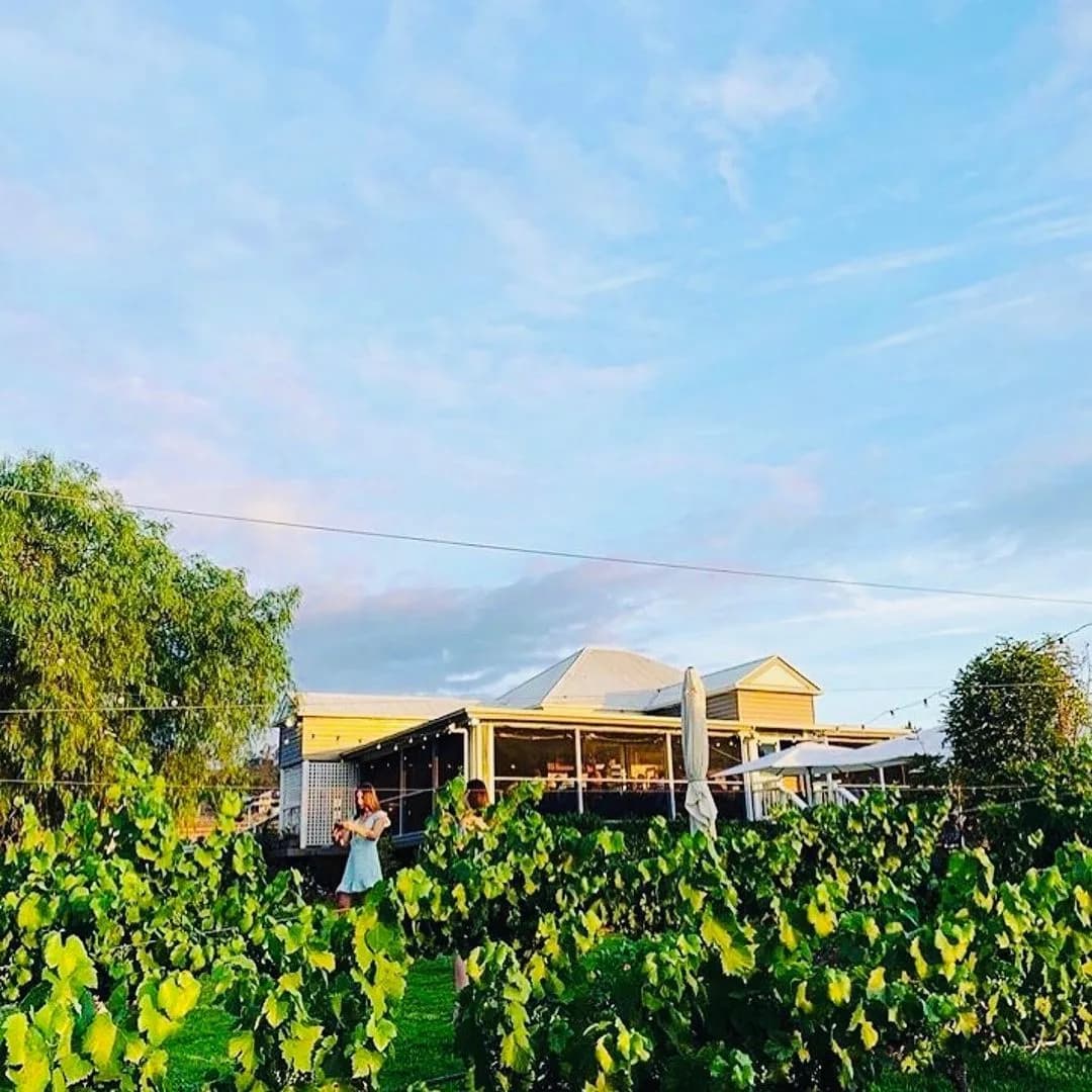 A woman in a blue dress stands among rows of green grapevines at a vineyard during golden hour. In the background, there is a charming farmhouse with a large porch, and a vibrant blue sky with wisps of clouds above.