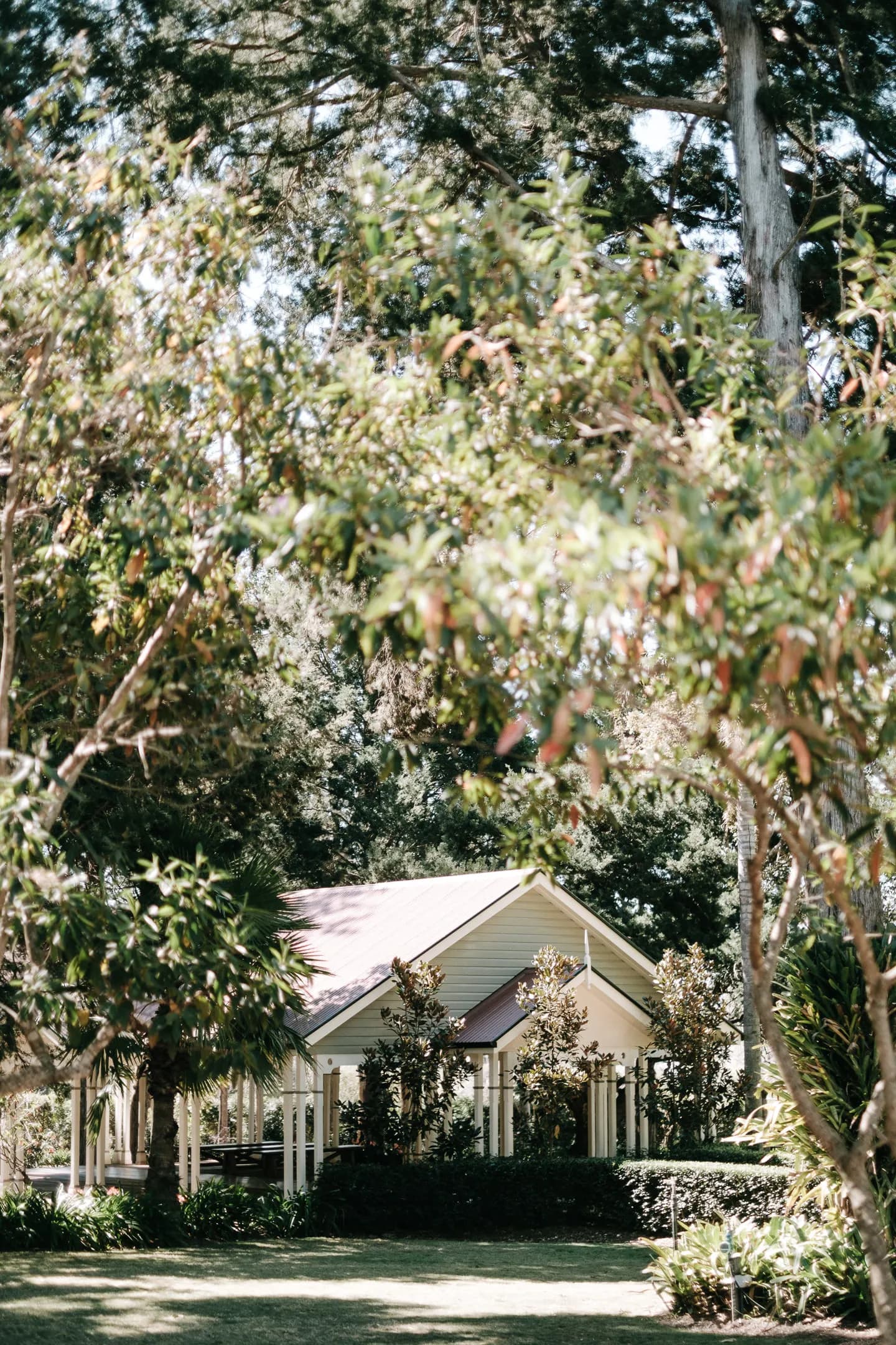 A quaint, small house with a red roof is nestled among dense, lush greenery and tall trees. Sunlight filters through the leaves, creating a serene and peaceful atmosphere around the house.