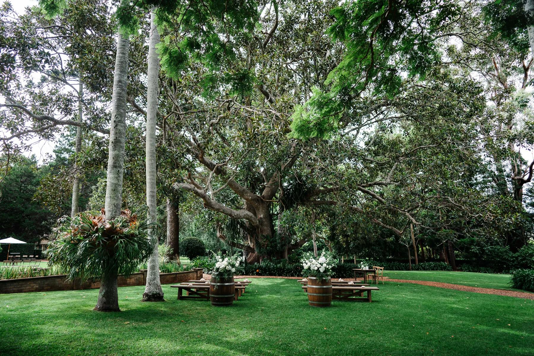 A picturesque outdoor setting featuring a large, spreading tree with abundant green foliage providing shade over several wooden benches and tables. The grass is lush and green, and decorative flower arrangements sit atop barrels, enhancing the serene atmosphere.