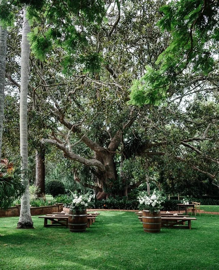 A lush, green outdoor setting with a large, leafy tree as the focal point. Wooden barrels decorated with white flowers and rustic wooden tables and benches are arranged under the tree, creating a serene and inviting atmosphere.