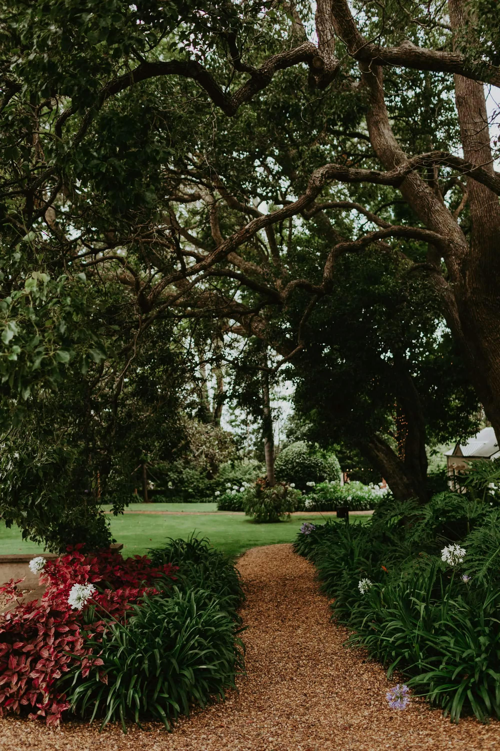 A garden path made of small stones winds through lush greenery and vibrant plants. Tall, leafy trees form a canopy overhead, with branches extending across the scene. Red and purple-leaved plants line the path, creating a serene and inviting atmosphere.