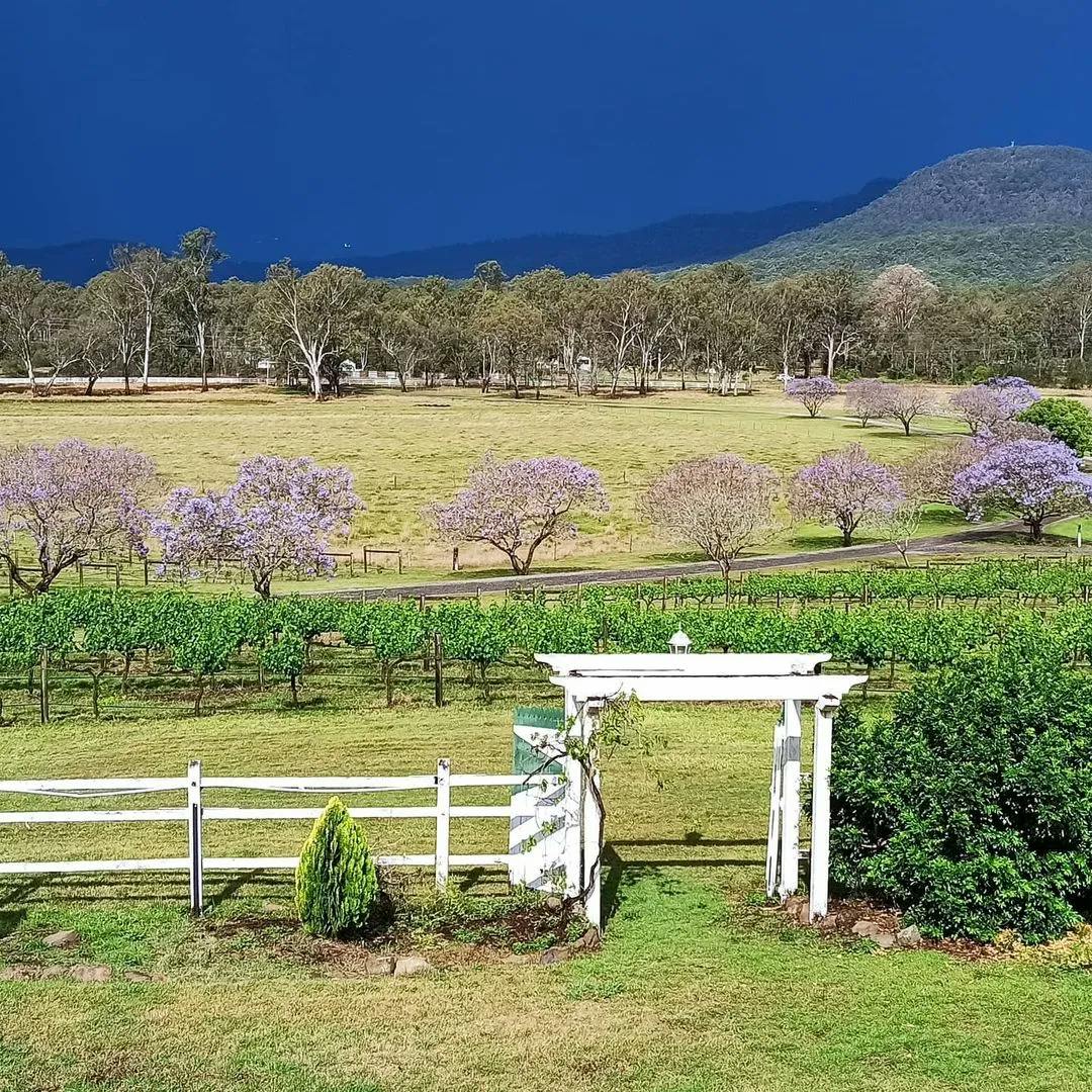 A serene landscape with a white fence and arbor in the foreground, leading into lush green fields and a vineyard. Trees with purple blossoms are scattered across the field. The scene is set against a backdrop of dark blue stormy skies and distant mountains.