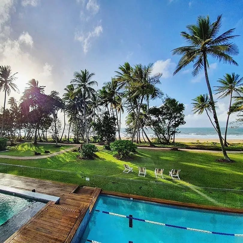 A picturesque tropical scene with tall palm trees, a clear blue sky, and an ocean in the background. There’s a rectangular swimming pool in the foreground bordering a well-maintained grass lawn with several lounge chairs. The vibe is serene and relaxing.