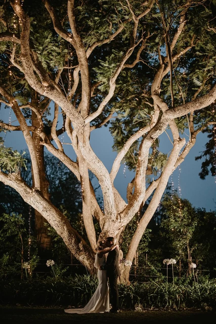 A couple embraces and kisses under a large, illuminated tree adorned with string lights. The tree's branches spread wide, creating a canopy over them. The scene is set at dusk, with the surrounding greenery softly lit, adding a romantic ambiance.