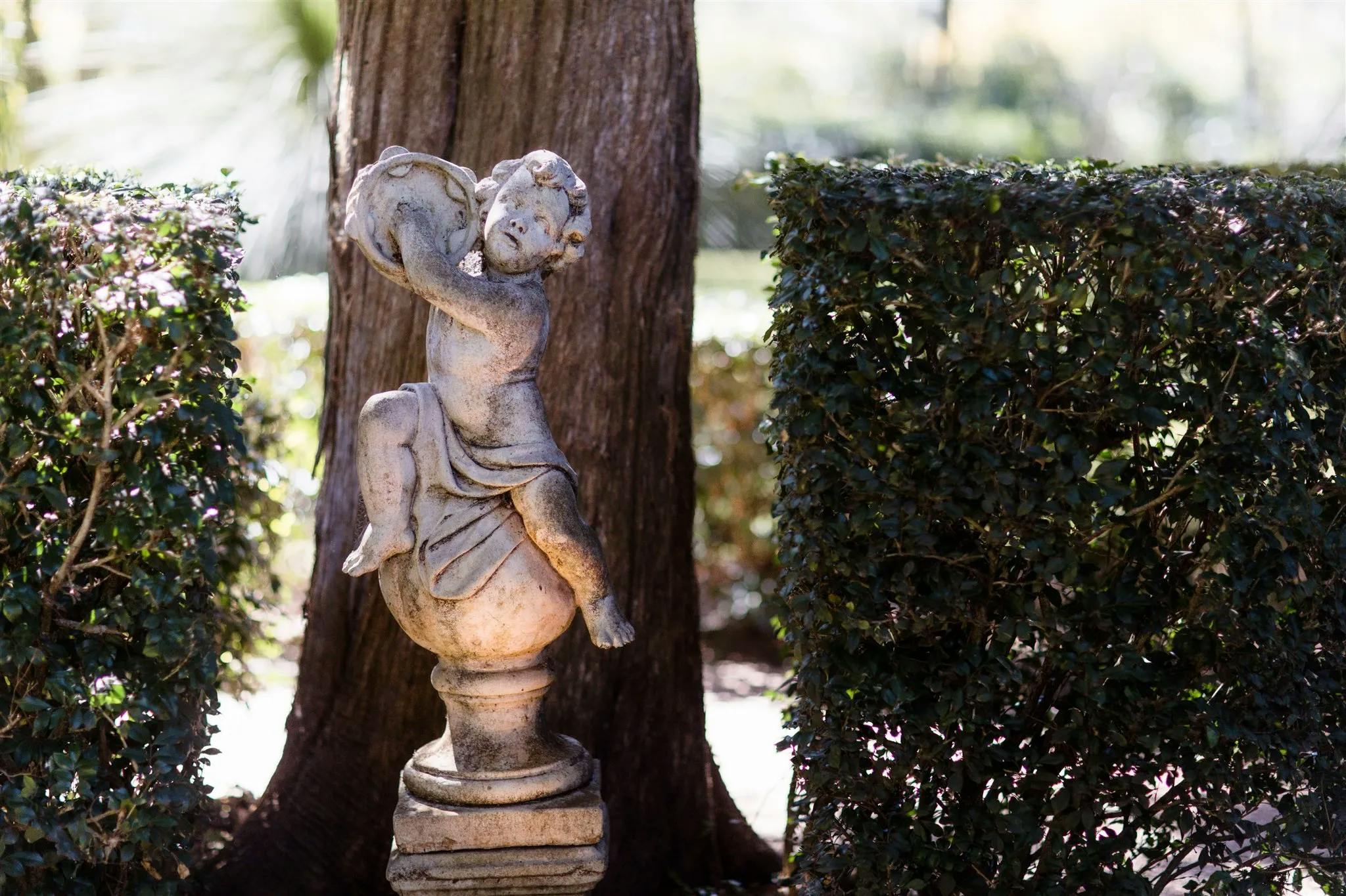 A stone cherub statue is perched on a pedestal, partially surrounded by neatly trimmed hedges. It is holding a disc above its head and leaning against a large tree trunk in the background, with soft sunlight filtering through.