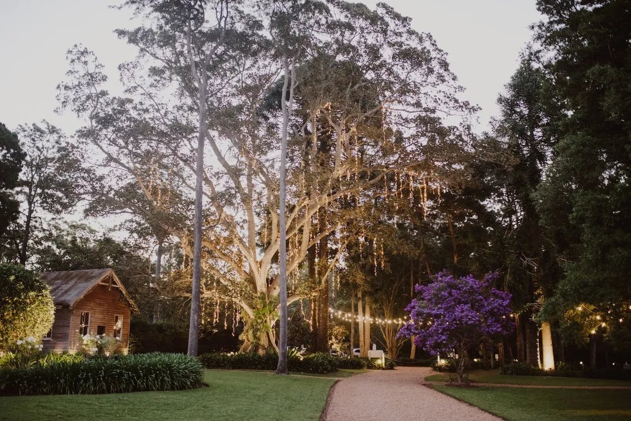 A picturesque garden scene at dusk, featuring a large illuminated tree with fairy lights hanging from its branches. To the left, a quaint wooden cabin is partially visible. A winding gravel path leads through lush green grass and past vibrant purple flowers.