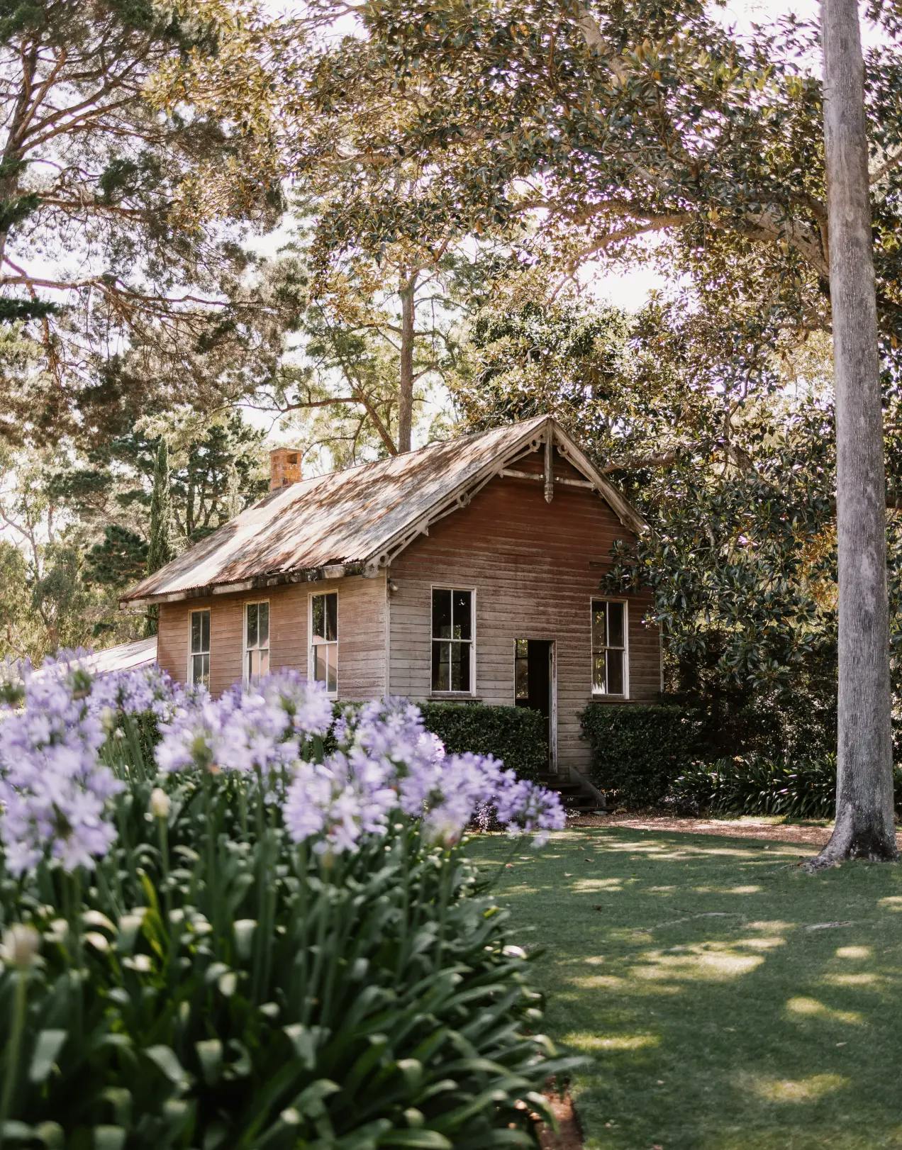A wooden cabin with a steeply pitched roof is nestled among tall trees and lush greenery. Purple flowers bloom in the foreground, enhancing the idyllic and serene atmosphere of the scene. Sunlight filters through the trees, casting dappled shadows on the ground.