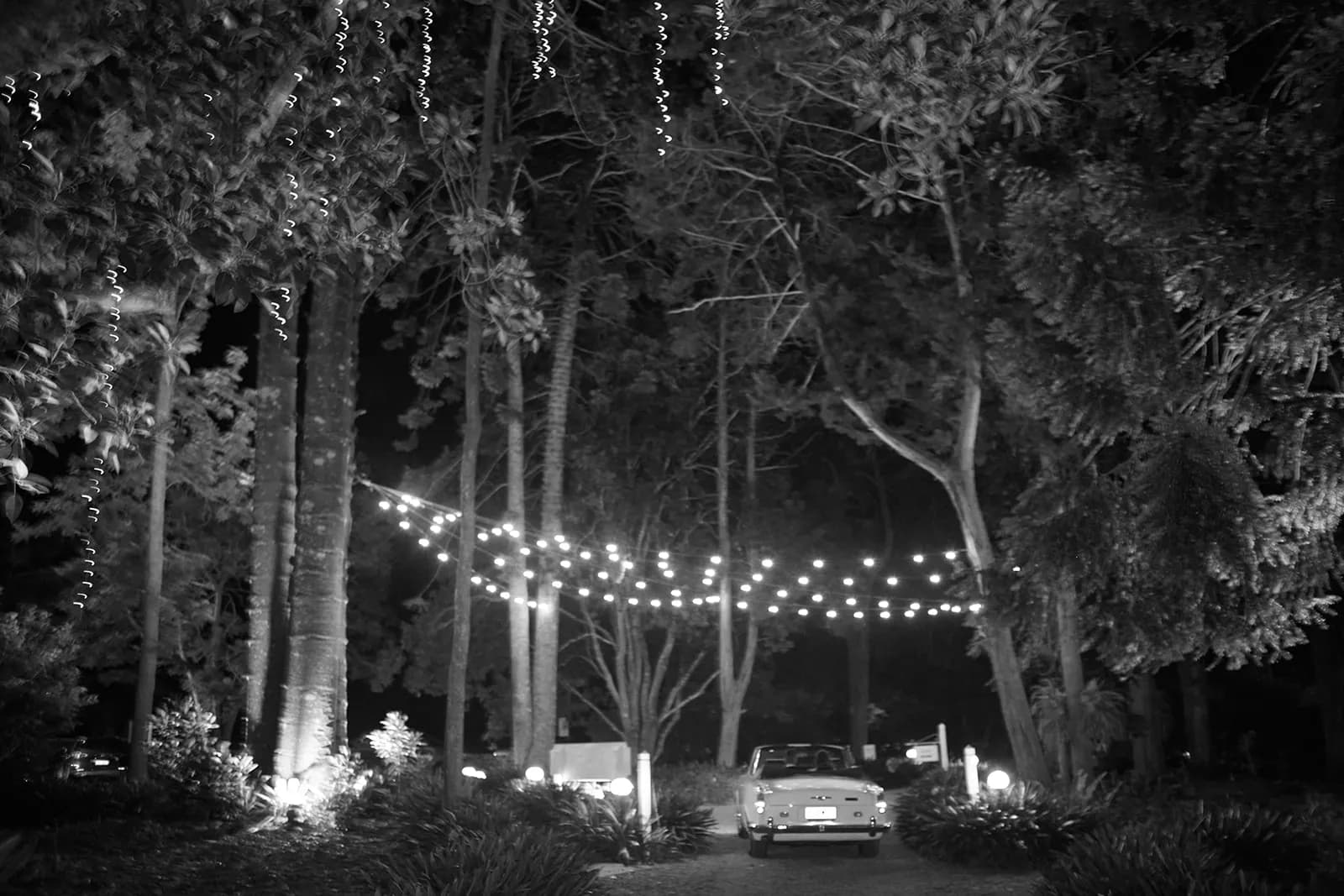 Bride and groom driving down the driveway