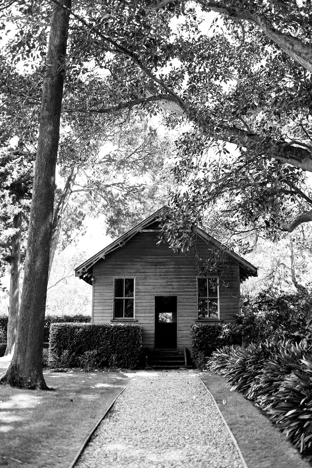 A small, rustic house made of wood is surrounded by lush greenery and trees. A gravel path leads up to the front door. The image is in black and white, highlighting the textures and contrast of the scene.