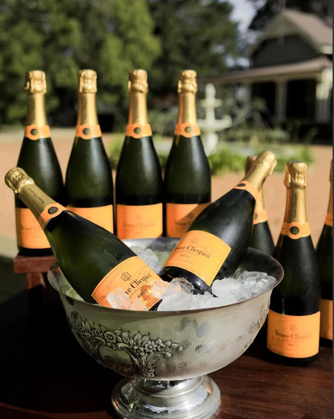 Several bottles of Veuve Clicquot champagne are displayed outdoors. Five bottles are chilled in a large silver bowl filled with ice, while six bottles stand on a wooden table. Trees and a building are visible in the blurred background.