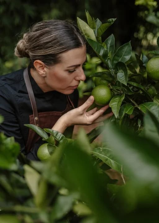 A person in a dark shirt inspects a green fruit on a lush tree, surrounded by vibrant leaves, in a garden setting.